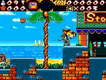 Chester Cheetah - Wild Wild Quest (USA) screen shot game playing